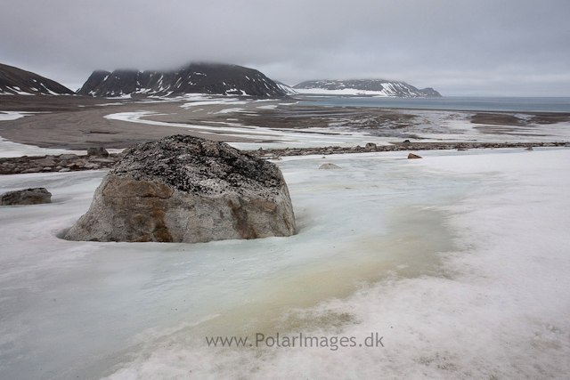 Phippsøya, Seven Islands_MG_5759