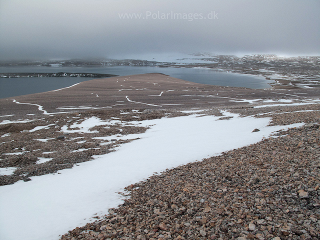 Relictbukta, Duvefjord, NordaustlandetIMG_1393