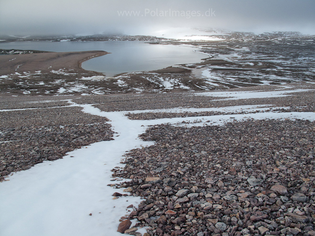 Relictbukta, Duvefjord, NordaustlandetIMG_1396