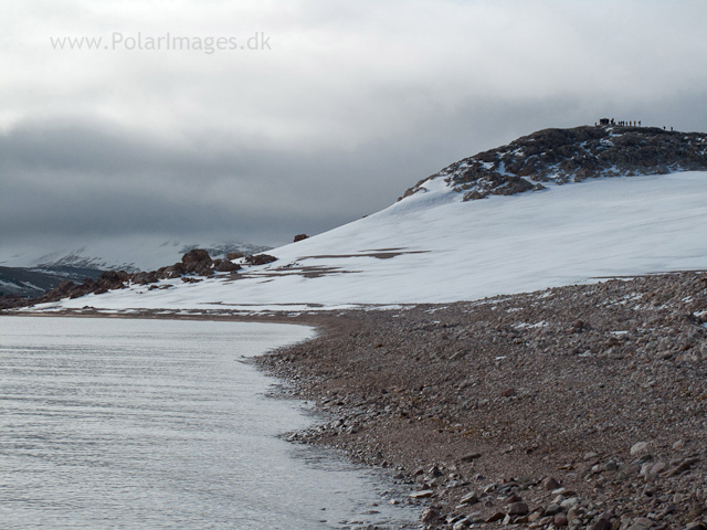 Relictbukta, Duvefjord, NordaustlandetIMG_1422