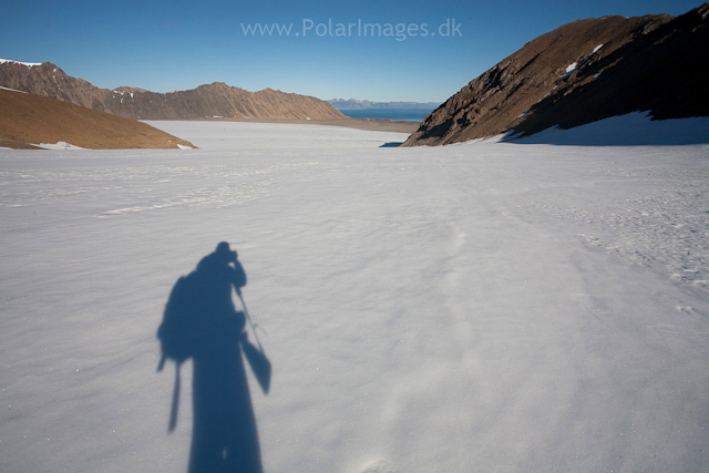 Renardbreen, Recherchefjord_MG_6690