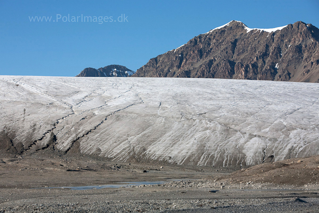 Renardbreen, Recherchefjord_MG_6706