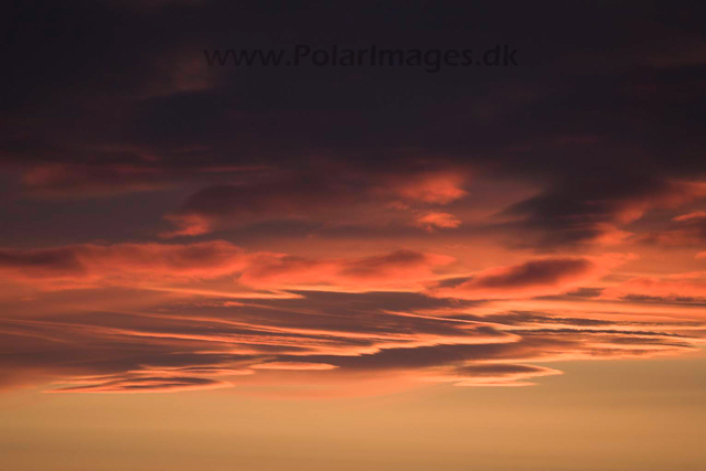 Sunset in the pack ice_MG_3261