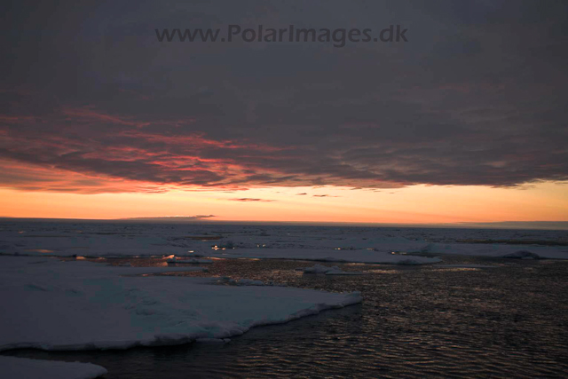 Sunset in the pack ice_MG_3275