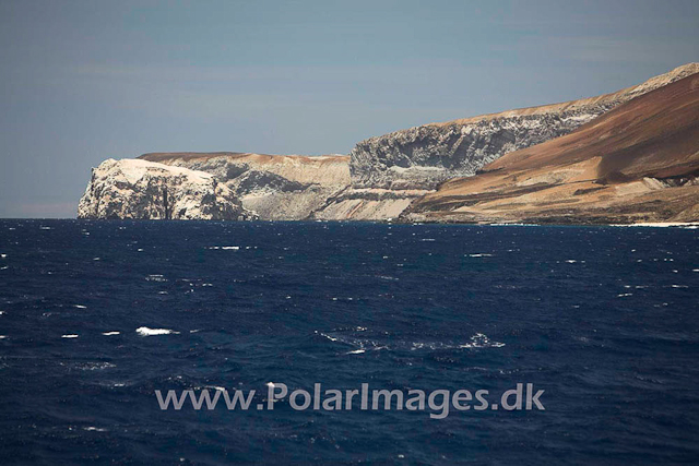 Boatswainbird Island_MG_2164