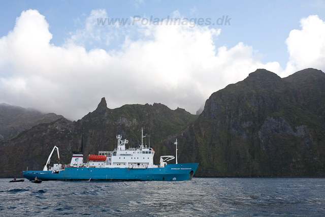 Professor Multanovskiy at Gough Island-2597