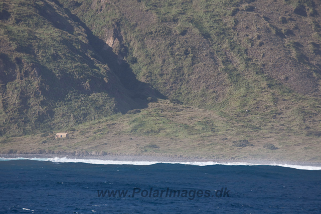 Blendon Hall, Inaccessible Island-2636