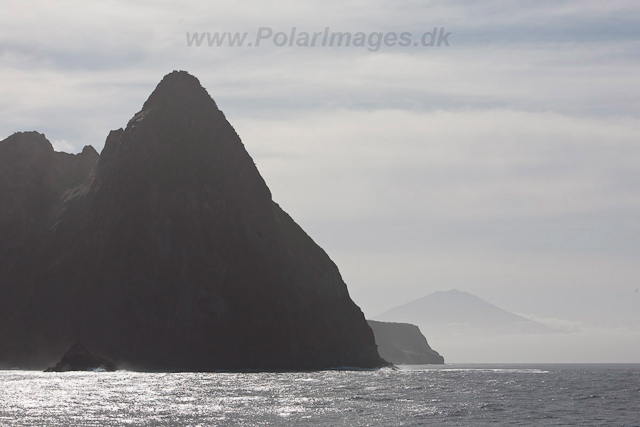 Inaccessible Island-2652