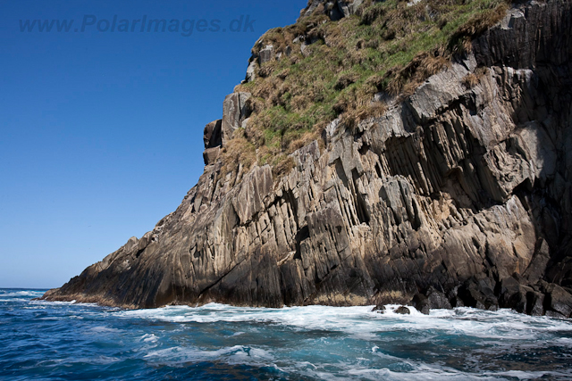 Inaccessible Island-2686