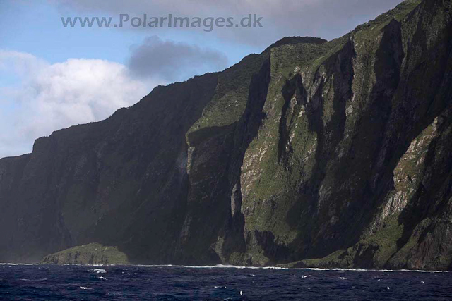 Inaccessible Island_MG_3830