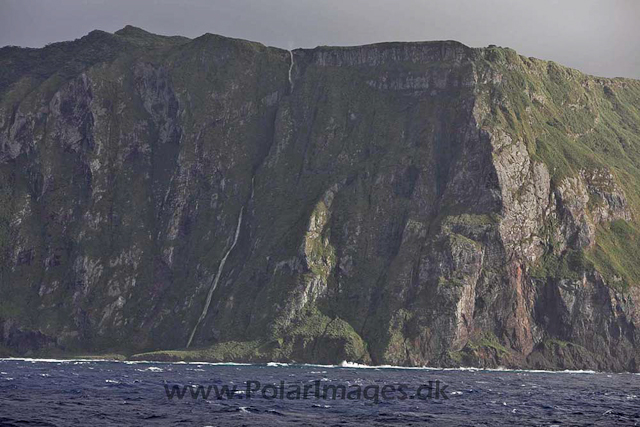 Inaccessible Island_MG_3841