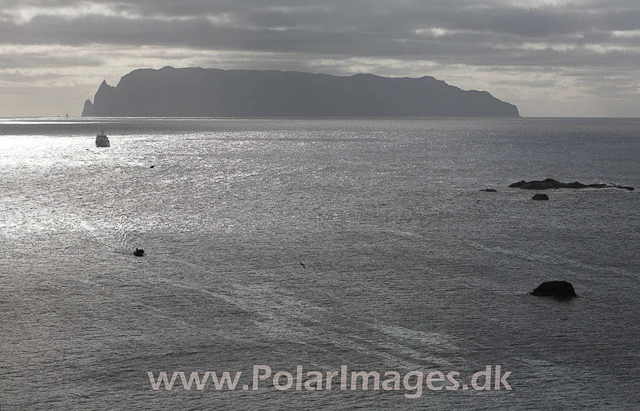 View to Inaccessible - Nightingale Island_MG_1595