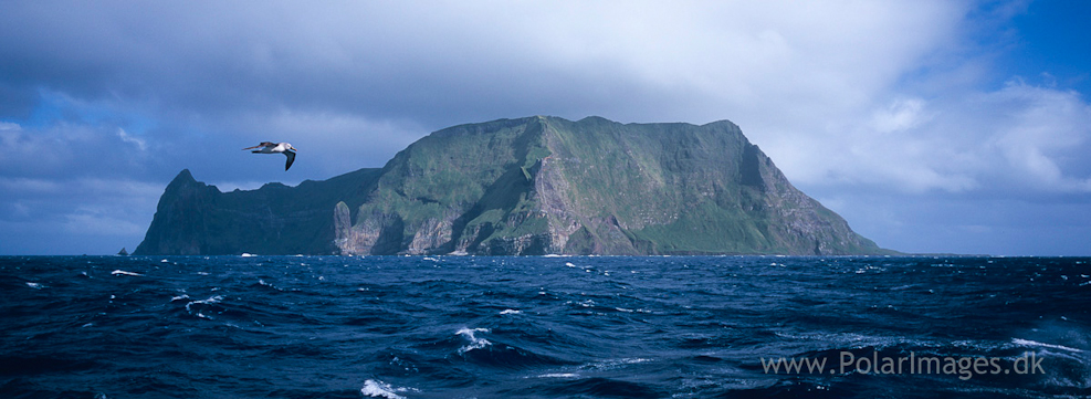 Inaccessible Island (3)