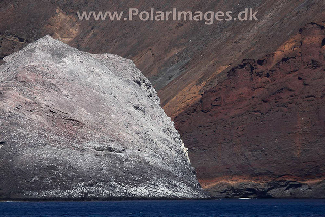 Egg Island_MG_1873