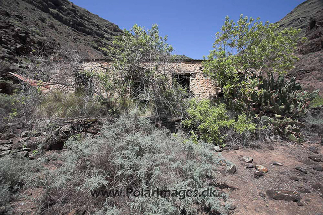 Lemon Valley - St. Helena_MG_7923