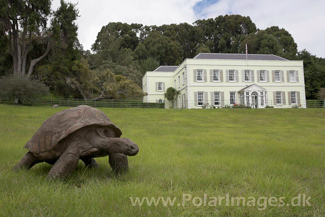 Plantation House_MG_1751