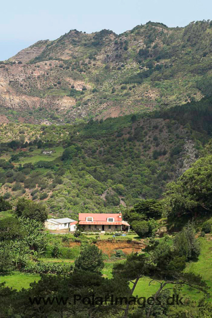 St Helena PICT4158