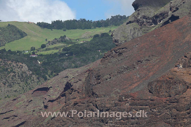 West coast geology_MG_1870