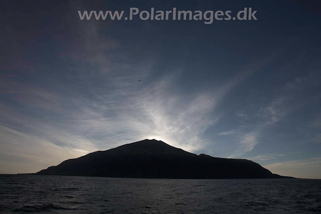 Tristan da Cunha_MG_1311