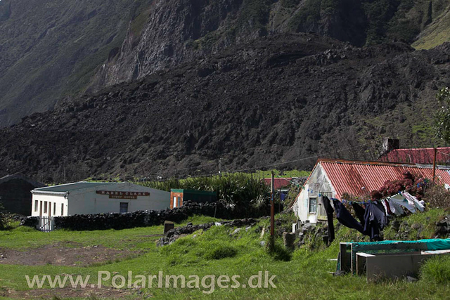 Tristan da Cunha_MG_1313