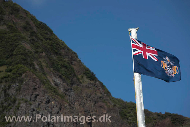 Tristan da Cunha_MG_1316