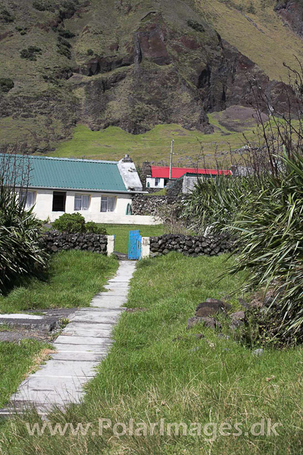 Tristan da Cunha_MG_1324