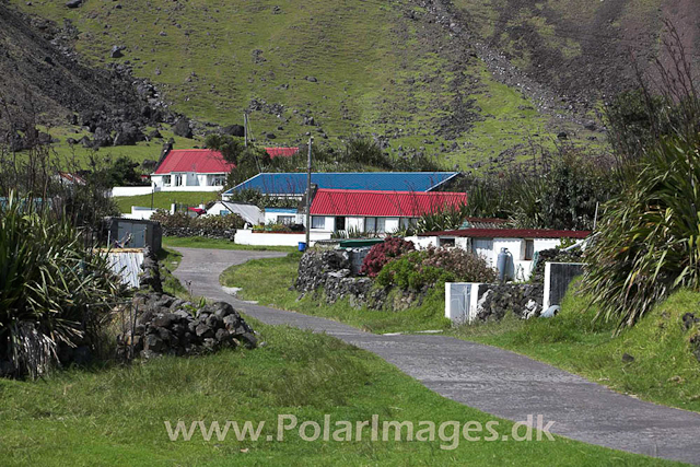 Tristan da Cunha_MG_1327