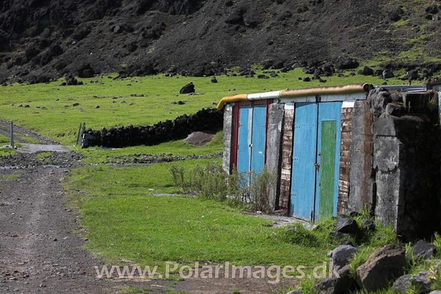 Tristan da Cunha_MG_1332