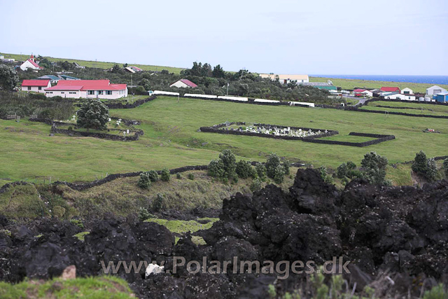 Tristan da Cunha_MG_1334