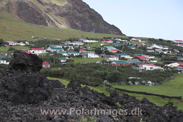 Tristan da Cunha_MG_1335