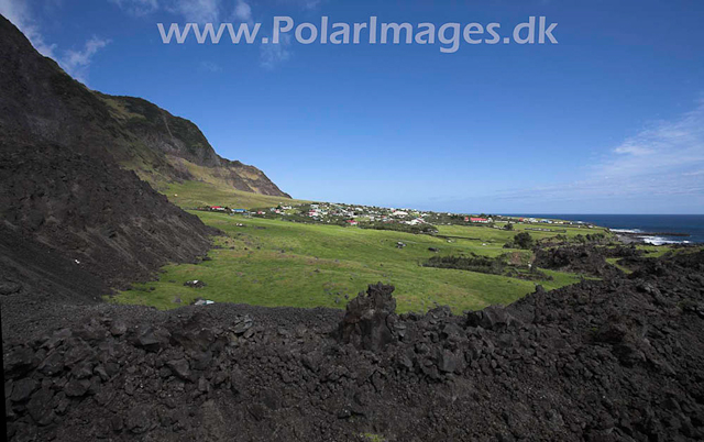 Tristan da Cunha_MG_1336