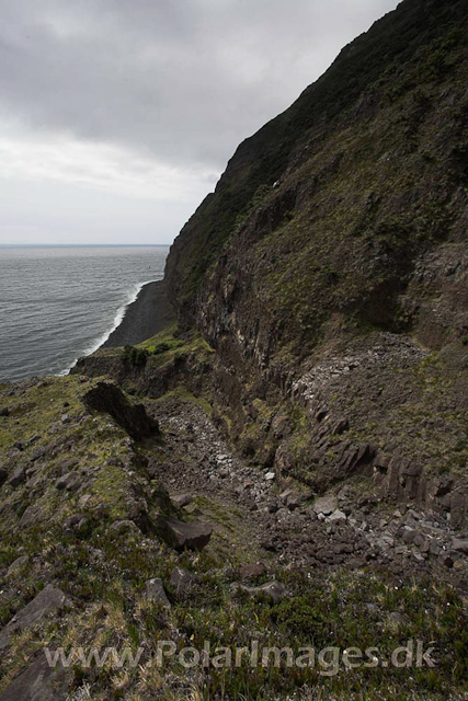 Tristan da Cunha_MG_1344