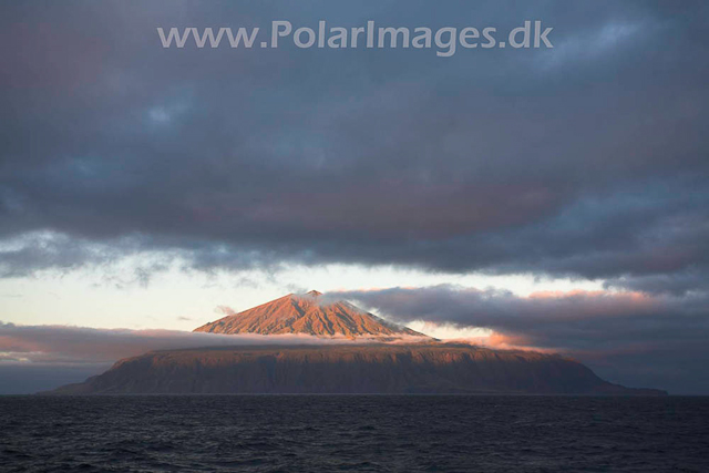 Tristan da Cunha_MG_1605