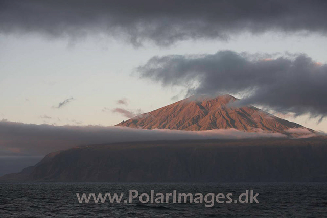 Tristan da Cunha_MG_1613