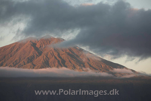 Tristan da Cunha_MG_1614