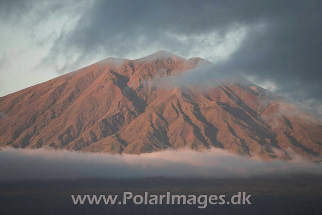 Tristan da Cunha_MG_1617