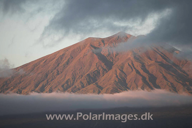 Tristan da Cunha_MG_1619