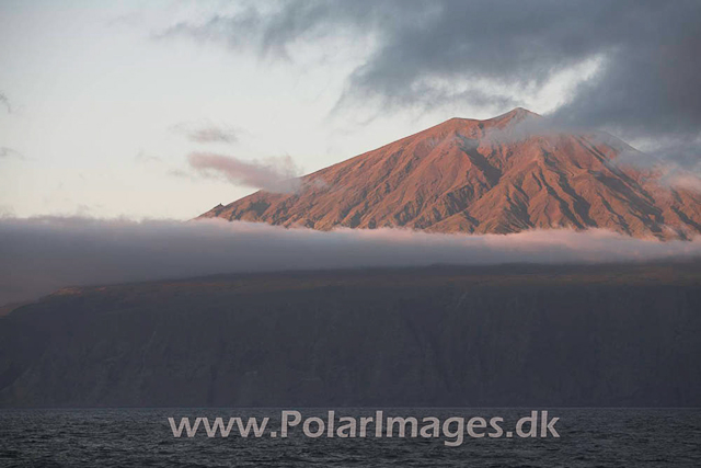 Tristan da Cunha_MG_1621