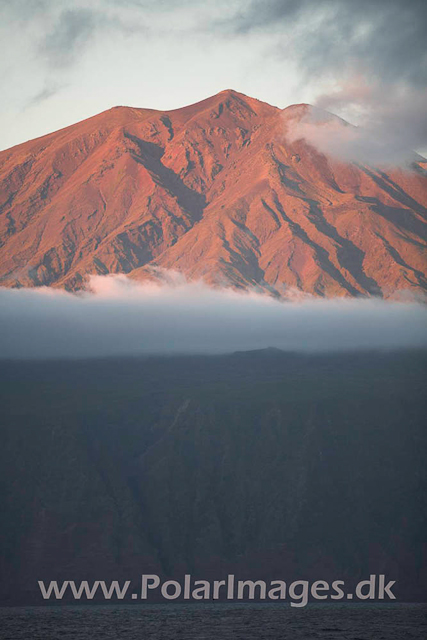 Tristan da Cunha_MG_1635