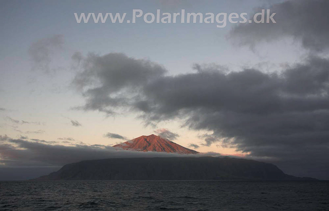 Tristan da Cunha_MG_1638