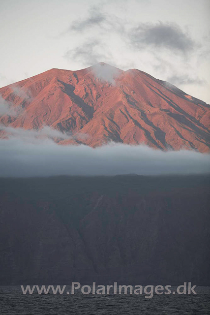 Tristan da Cunha_MG_1642