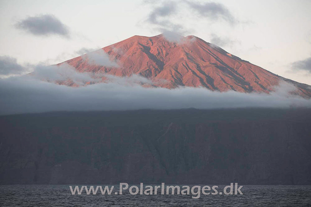 Tristan da Cunha_MG_1645