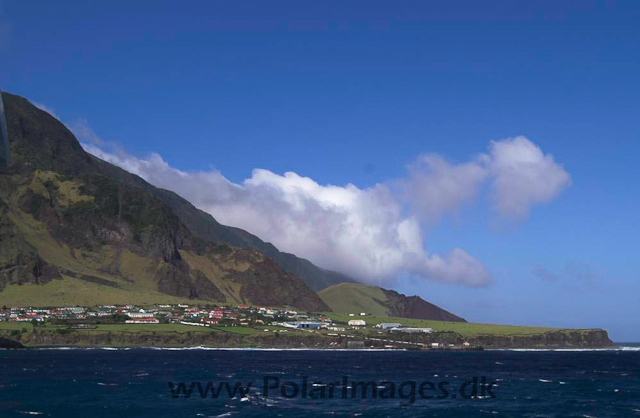 Tristan da Cunha PICT3756