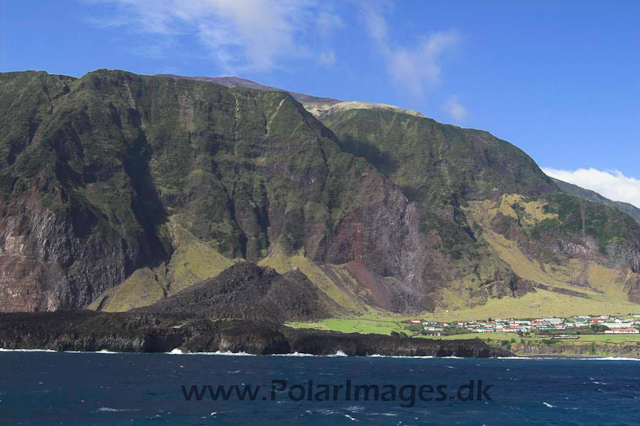 Tristan da Cunha PICT3757