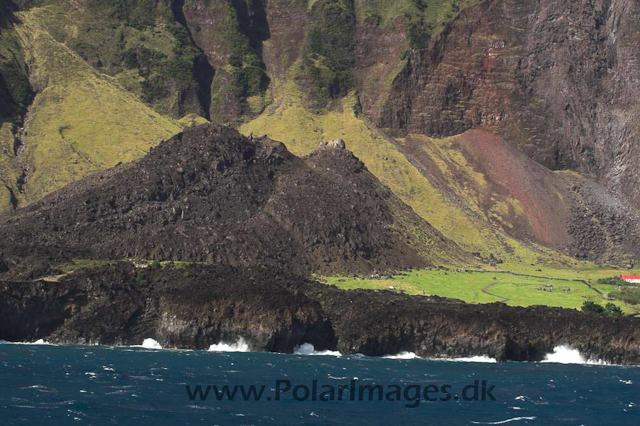 Tristan da Cunha PICT3763