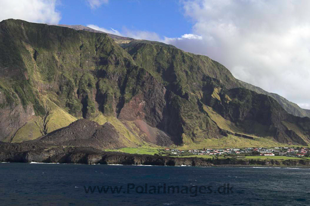 Tristan da Cunha PICT3777