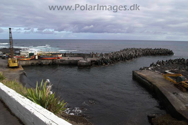 Tristan da Cunha PICT3814