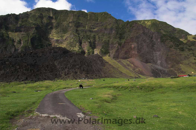 Tristan da Cunha PICT3850