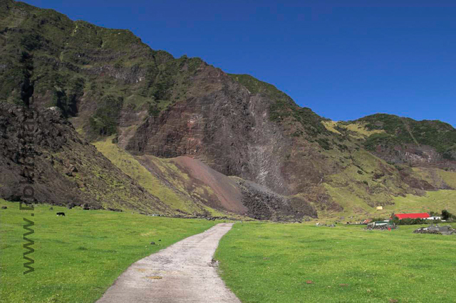 Tristan da Cunha PICT3859