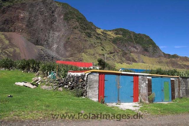 Tristan da Cunha  PICT3862